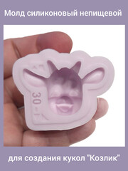 0170-С Молд силиконовый непищевой 