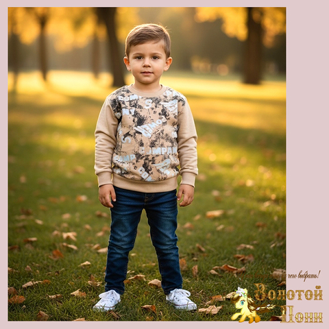 Свитшот трикотаж м (74-98) 251205-Y5107