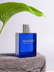 Dilis LA VIE (La Ville) Парфюмерная вода д/муж ADAGIO PROFONDO (Acqua di G.Armani) (888) 100мл