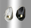Бра Pearl Wall Lamp H38