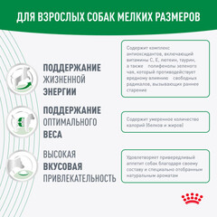 Royal Canin Mini Adult 8+ сухой корм для собак мелких пород старше 8 лет 4кг