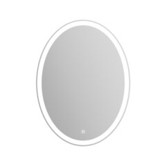 BelBagno SPC-VST-600-800-LED-TCH Зеркало с встроенным светильником и кнопочным выключателем фото