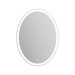 BelBagno SPC-VST-600-800-LED-TCH Зеркало с встроенным светильником и кнопочным выключателем фото