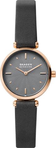 Наручные часы Skagen SKW2995 фото