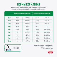 Royal Canin Mini Adult 8+ сухой корм для собак мелких пород старше 8 лет 4кг