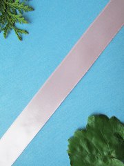 Лента атласная, ш. 2,5 см, 154 (16) пудровый