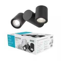 Св-к Gauss Садово-парковый Sonata настен.архитект, 35W 2*GU10, 221*155*70mm,170-240V/50HZ IP54 GD152