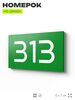 Номер на дверь 313, табличка на дверь для офиса, квартиры, кабинета, аудитории, склада, зеленая 120х70 мм, Айдентика Технолоджи