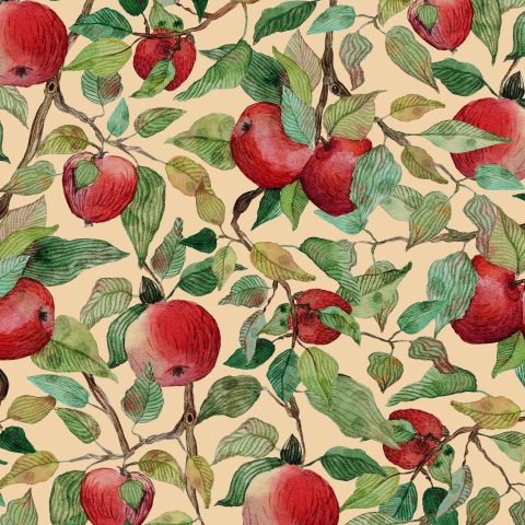 ba Пионы и красные яблоки Luca-S | Современная вышивка крестом, Красное яблоко, Пионы