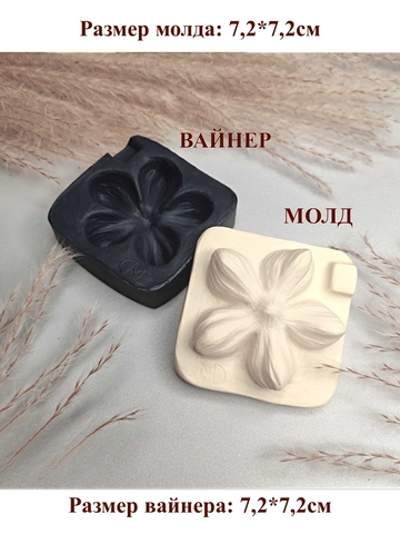 Молд+Вайнер 