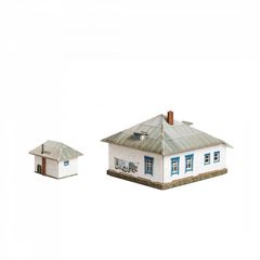 Сельский дом №1