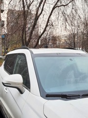 АНТЕННА АВТОМОБИЛЬНАЯ ДЕКОРАТИВНАЯ НА МАГНИТЕ 290 ДЕКОР БЕЗ КАБЕЛЯ