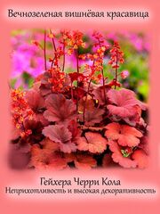 Декоративные