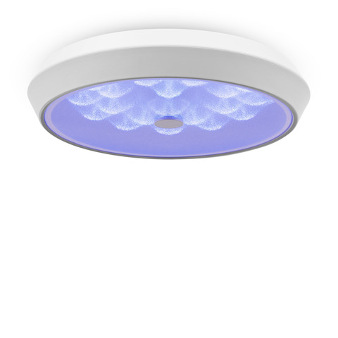 Потолочный светодиодный светильник Freya FR10012CL-L24W