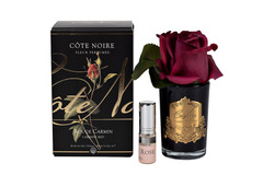 Ароматизированная роза в прозрачной вазе и 1 спрей 13.5х8х8 Rose Bud Red Rose Petal Cote Noire