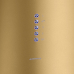 Вытяжка Maunfeld LEE ISLA 39 золотой