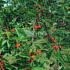 Сетка от птиц для защиты ягод и овощей