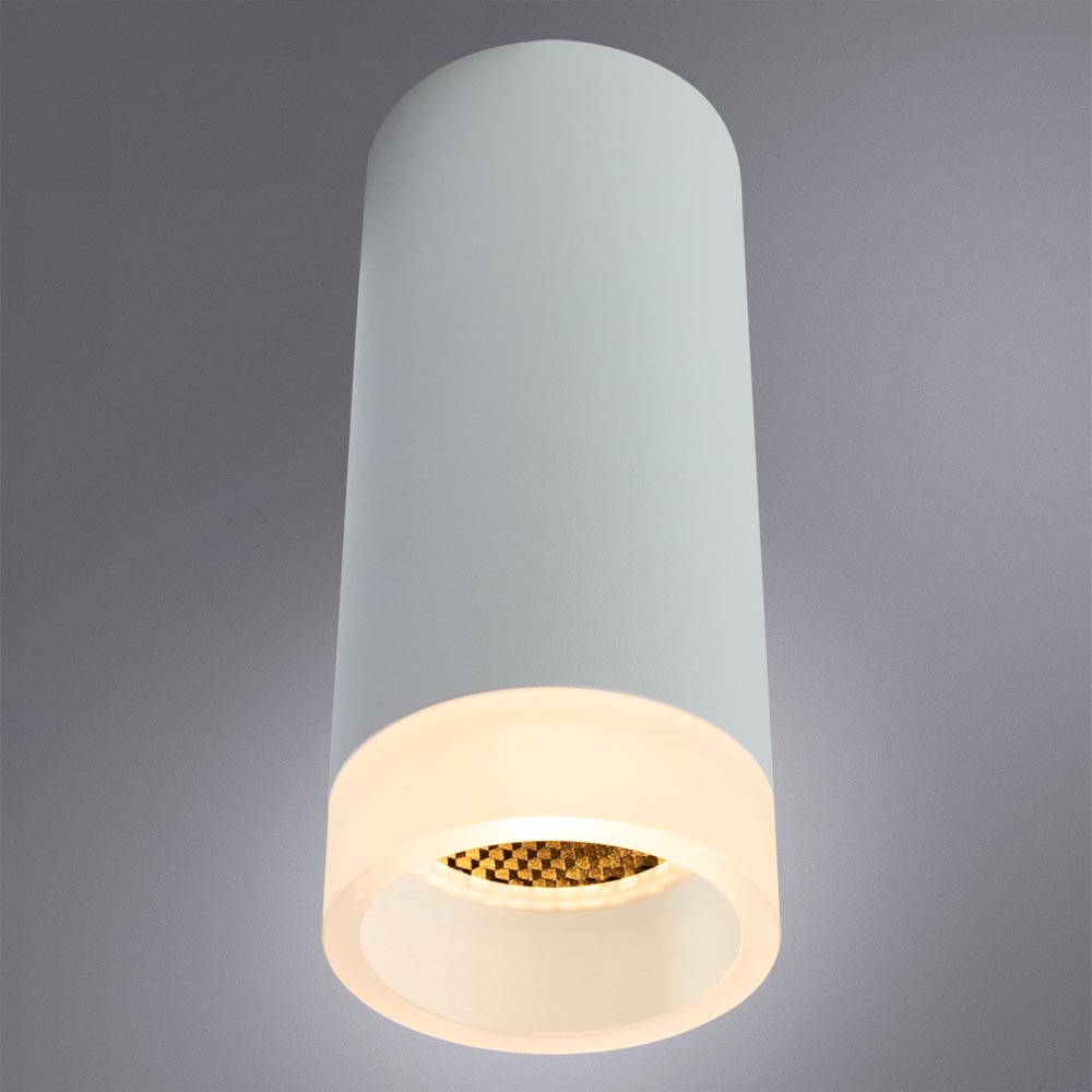 Потолочный светильник Arte Lamp Ogma A5556PL-1WH