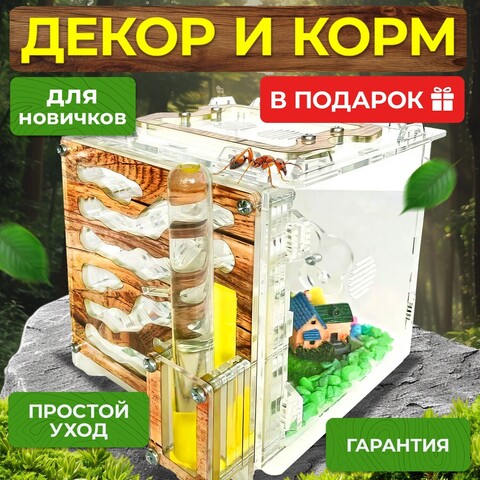 Формикарий для муравьев 