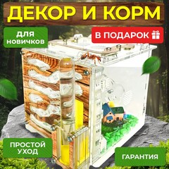 Формикарий для муравьев 