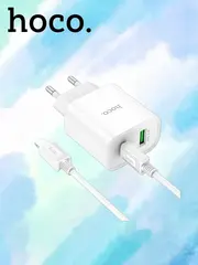 Зарядное устройство C80A Plus Rapido Type-c to Lightning