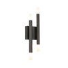 Светильник настенный ST Luce Basio SL1595.401.04
