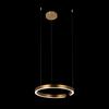 Подвесной светильник Loft It Ring 10013M