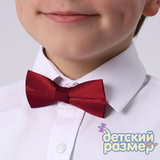 Бабочка