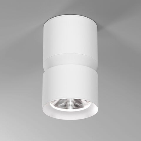 Накладной светодиодный светильник Elektrostandard Kayo 25049/LED 12W 4000К белый