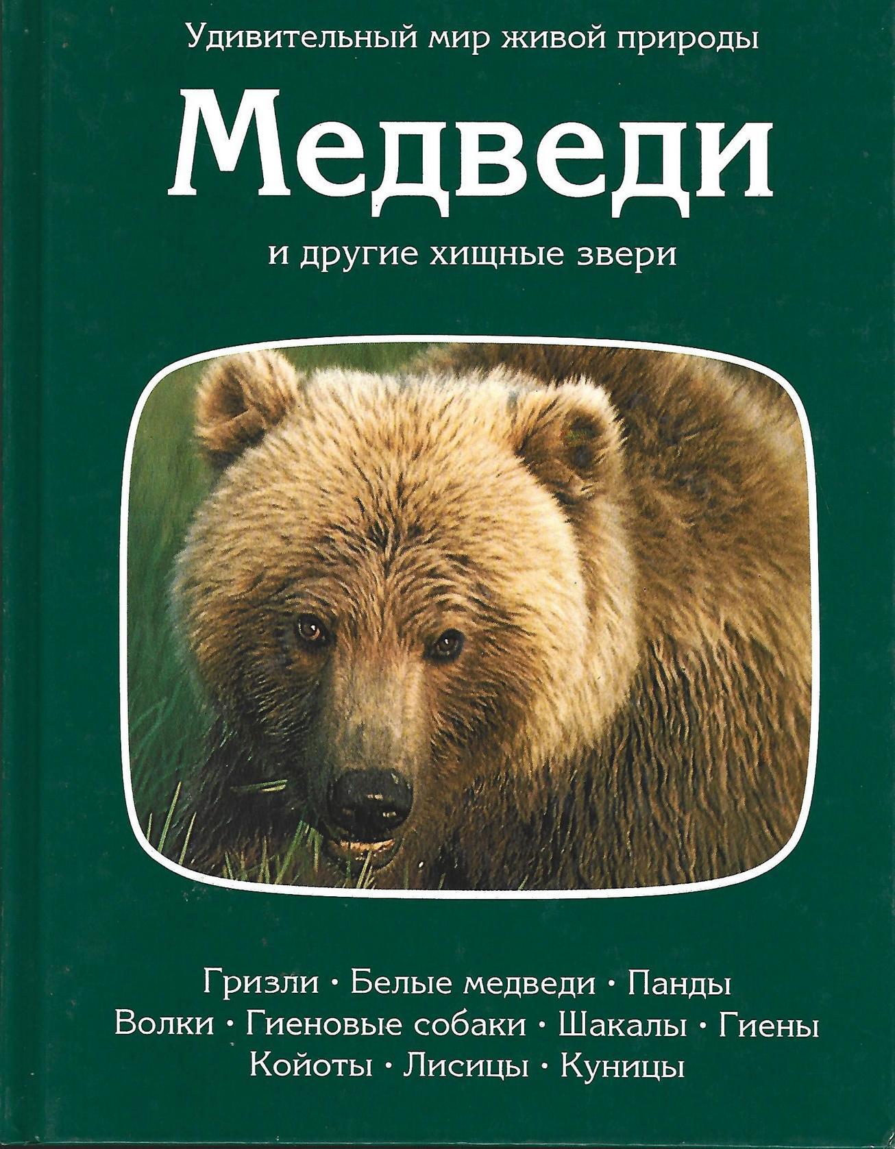 Какие животных книги. Книга медведи и другие Хищные звери. Книги про медведей для детей. Медведь с книгой. Книги детские про медведей для детей.