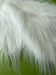 Мех длинноворсовый, ворс 8-9 см, для игрушек и рукоделия, 50*50 см (+- 2 см), 100% п/э, 1 отрез.