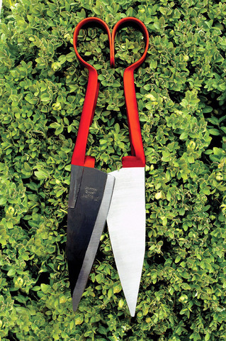 Ножницы для фигурной стрижки растений BERGER 27410