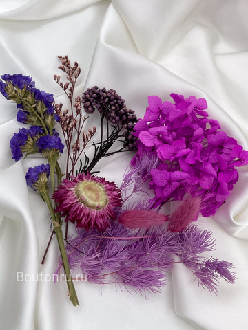 Сухоцветы фиолетовые