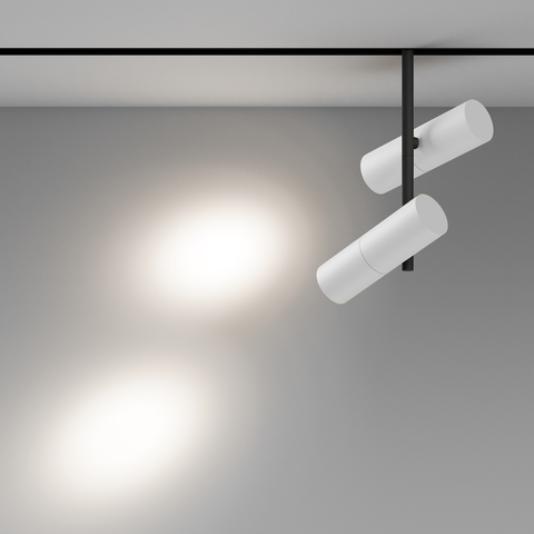 Магнитный трековый светильник Maytoni Elti Duo TR005-4-2X12W-DS-BW