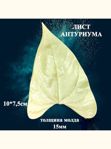 Молд+Вайнер 