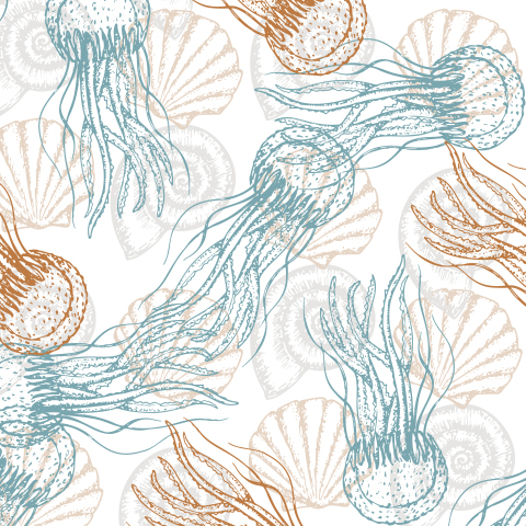 Ракушки и медузы