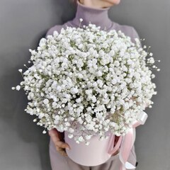 Шляпная коробка с белой гипсофилой