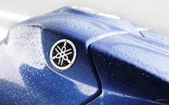 Наклейка-логотип универсальная 