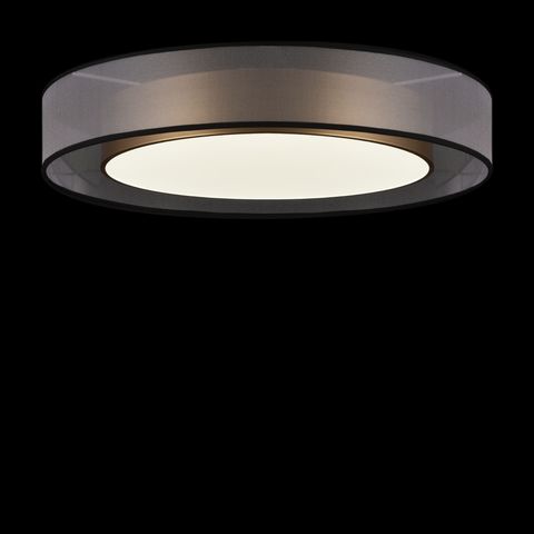 Потолочный светодиодный светильник Freya Zoticus FR6005CL-L48G