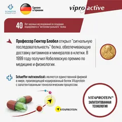 Випроактив Вен Про, БАД венотоник, витамины для вен и сосудов, профилактика варикоза, экстракт виноградных косточек, 60 капсул