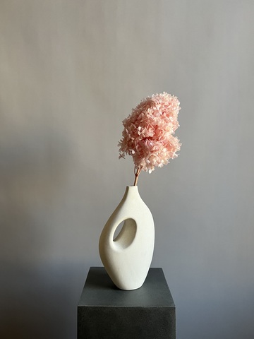 Гортензия стабилизированная розовая крупнолистная