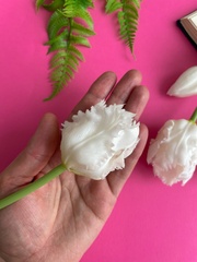 Тюльпаны силиконовые как настоящие, Волнистый край, качество ПРЕМИУМ, Белые, высота 40 см, букет 5 штук.