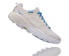 Кроссовки мужские HOKA x TINT Speedgoat 4