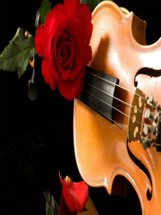 Алмазная мозаика картина стразами Скрипка с розой, 15х20 см