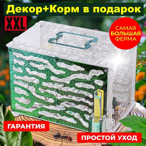 Формикарий XXL 