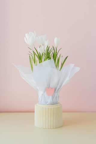 Первоцветы