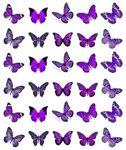 Вафельная картинка Бабочки 41