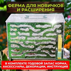 Формикарий XXL 