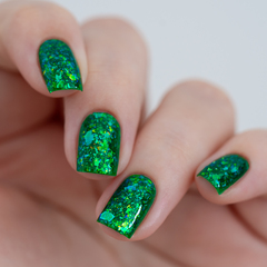 Never Go Into The Woods (LE)