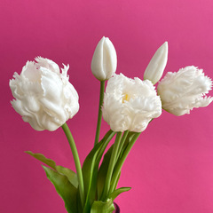 Тюльпаны силиконовые как настоящие, Волнистый край, качество ПРЕМИУМ, Белые, высота 40 см, букет 5 штук.